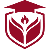 avnc.co.uk